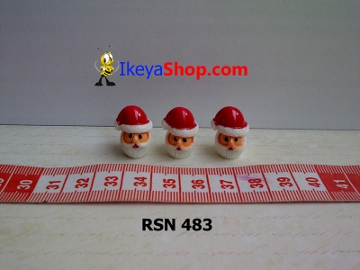 rsn 483  large2